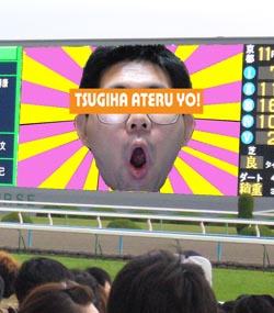 ς_[r[͓Ȃc